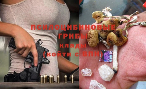 прущие крисы Богородск