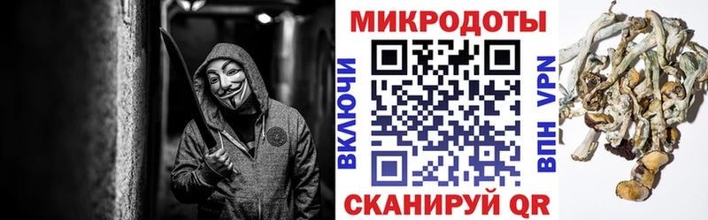 Псилоцибиновые грибы Magic Shrooms  цены   Монино 